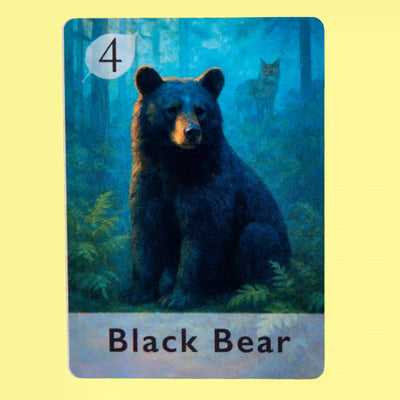 Black Bear