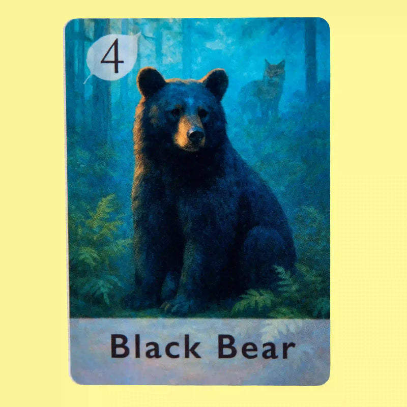 Black Bear