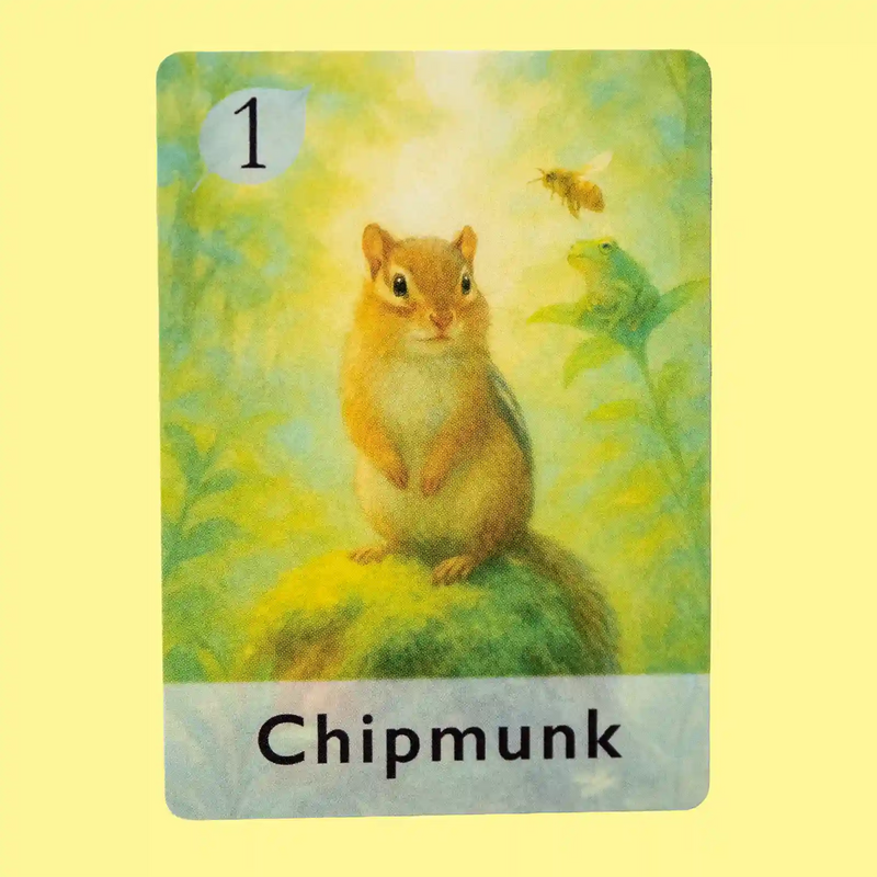 Chipmunk