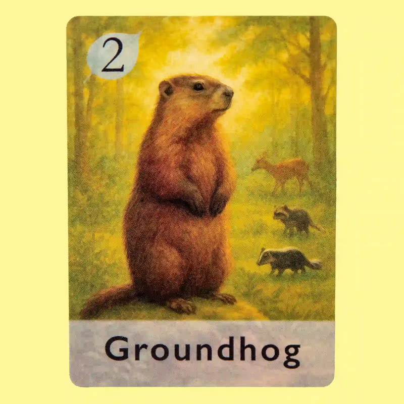 Groundhog