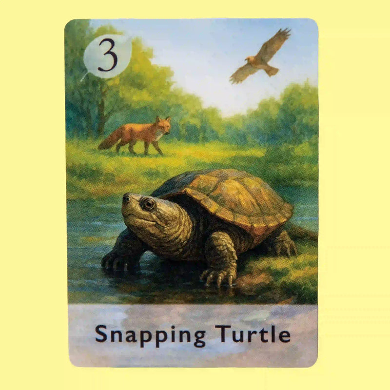 Snapping Turtle
