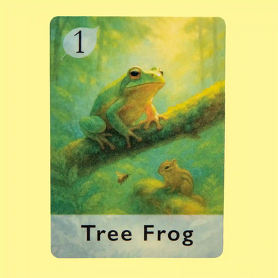 Tree Frog