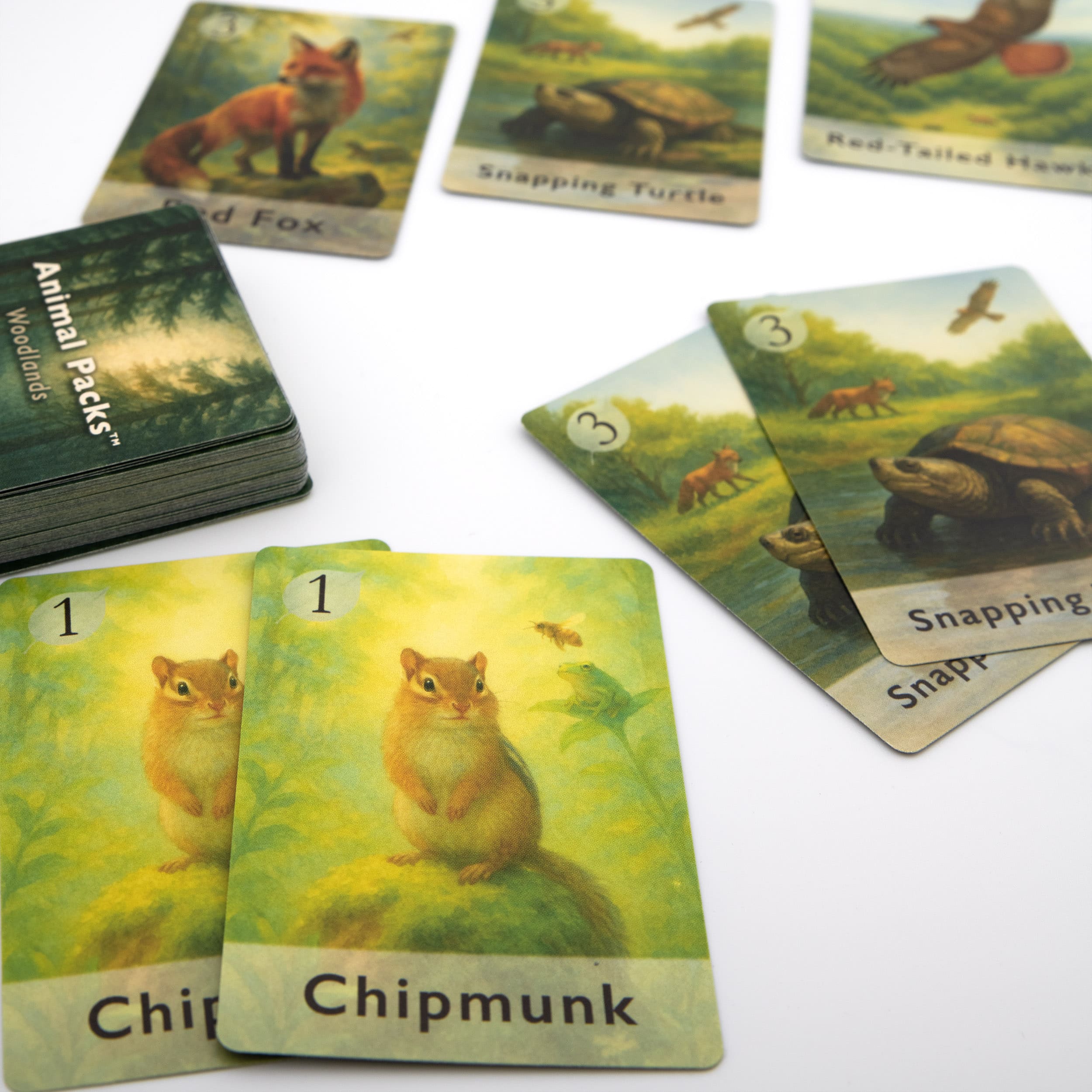 Animal Packs - Woodlands